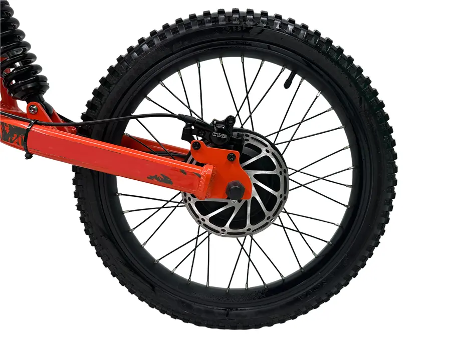 750W 48V Electric Mini Motorcycle For Kids (6)