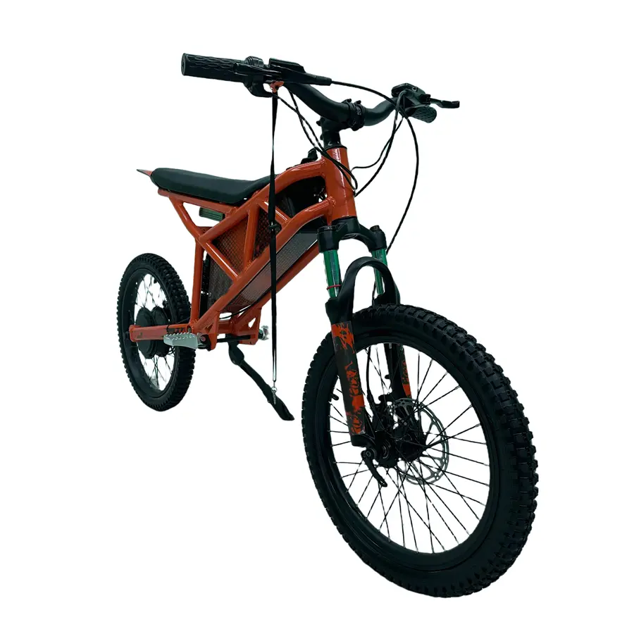 750W 48V Electric Mini Motorcycle For Kids (5).jpg