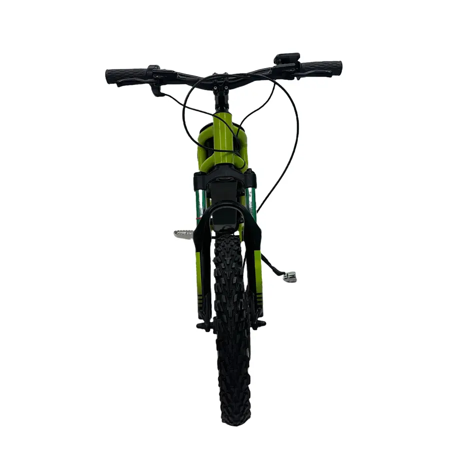 Electric Kids Mini Bike 500W 48V (5).jpg