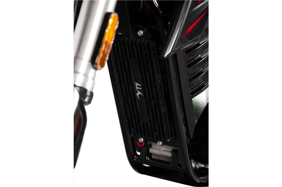 Dirt Bike For Adult (5)