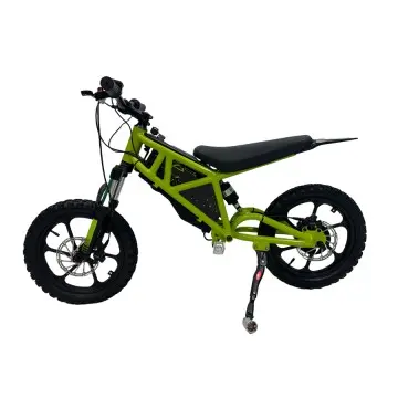 Electric Kids Mini Bike 500W 48V